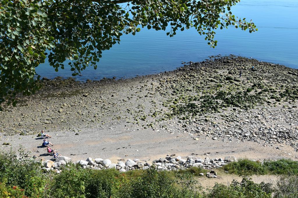Motel Et Chalets Bo-Fleuve Evangeline 세인트시몬 외부 사진
